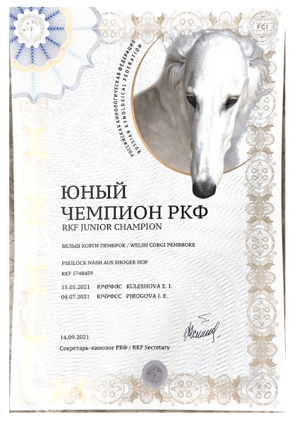 Diplom