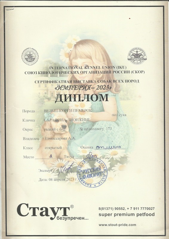 Скан 1