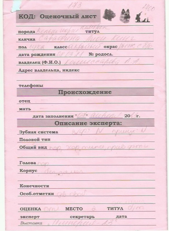 Скан 11