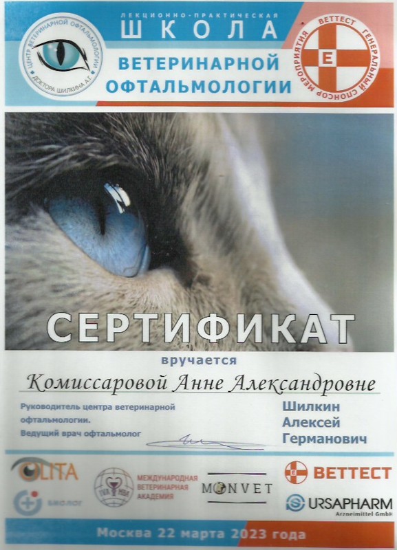 Скан 12