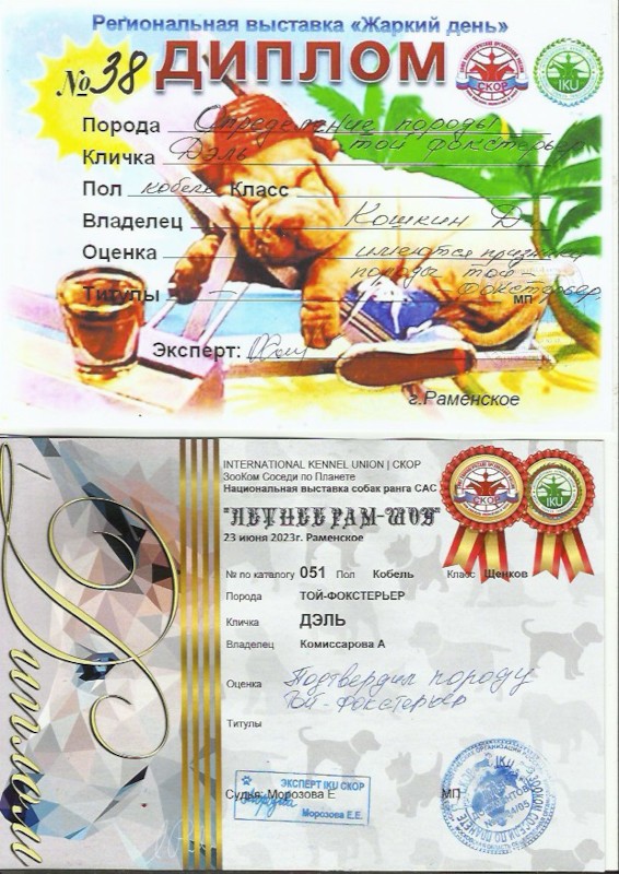 Скан 13