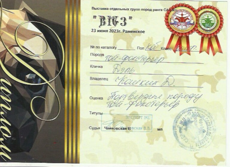 Скан 14