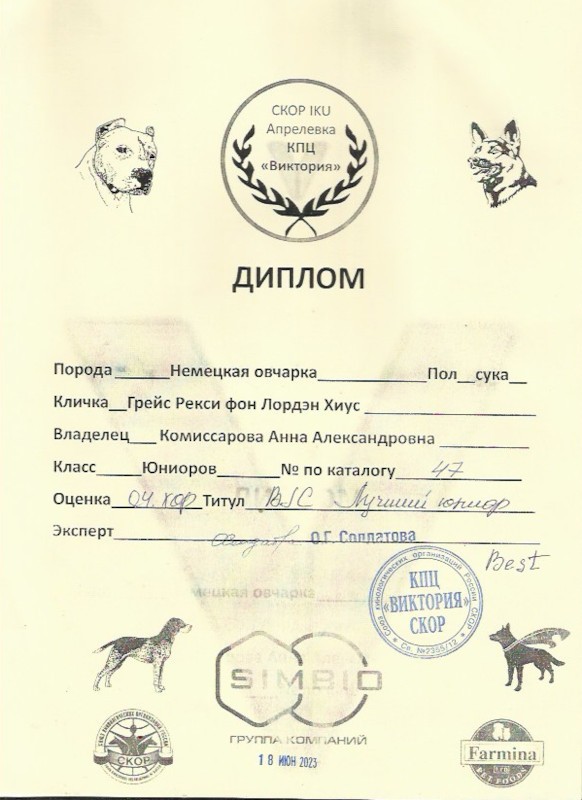 Скан 16