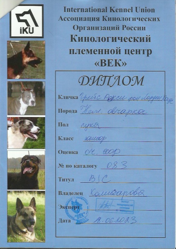 Скан 17