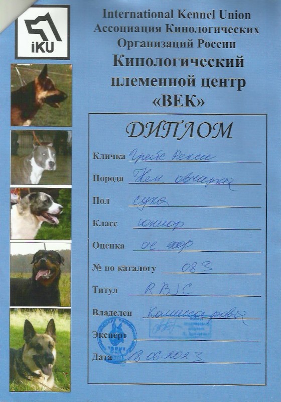 Скан 18