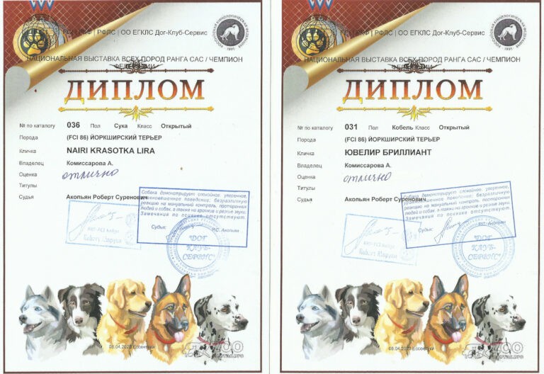 Скан 2