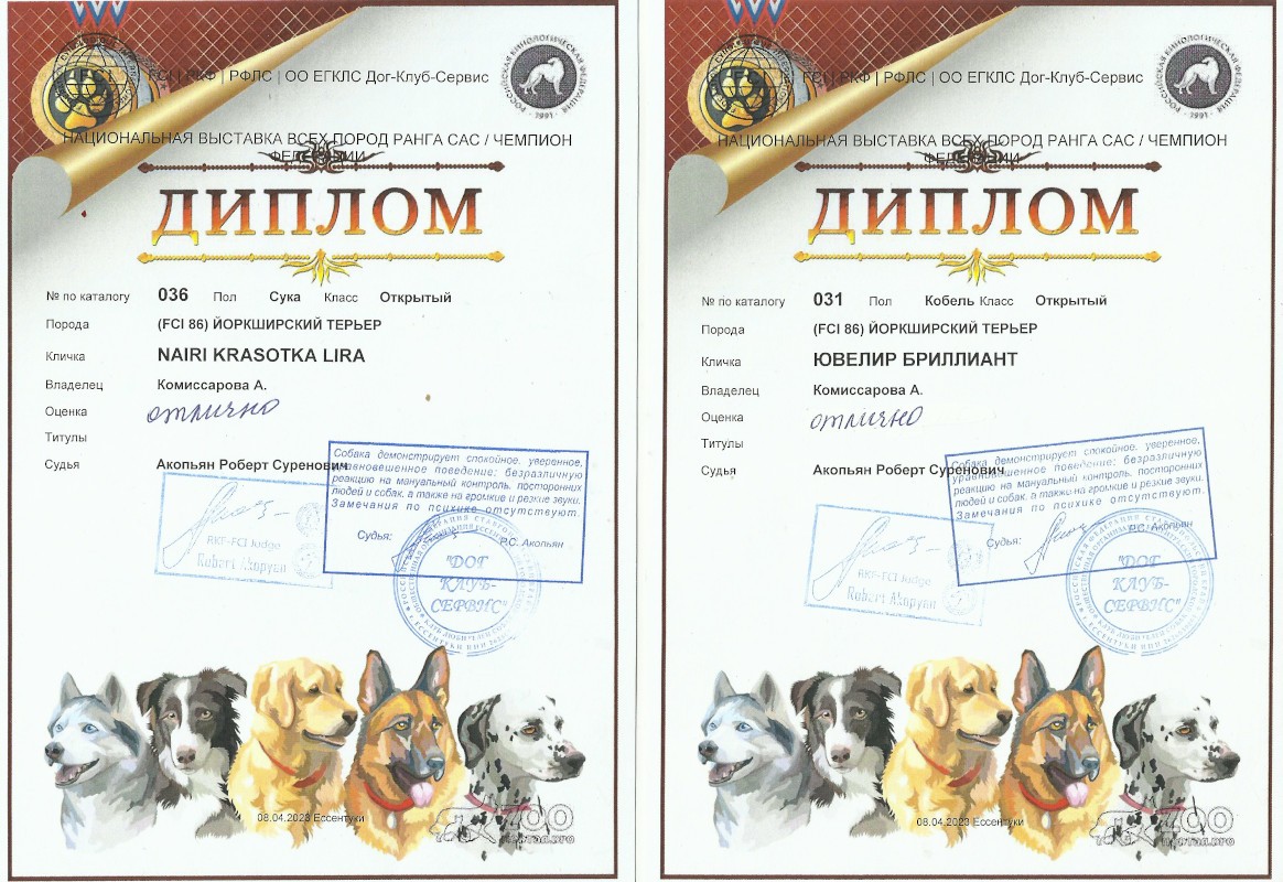 Скан 2