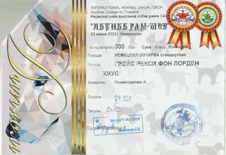 Скан 20