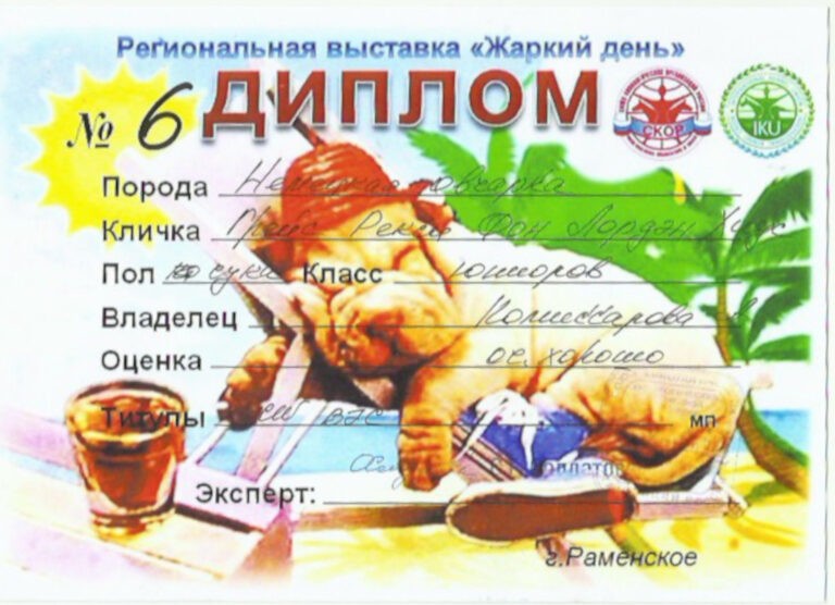 Скан 21