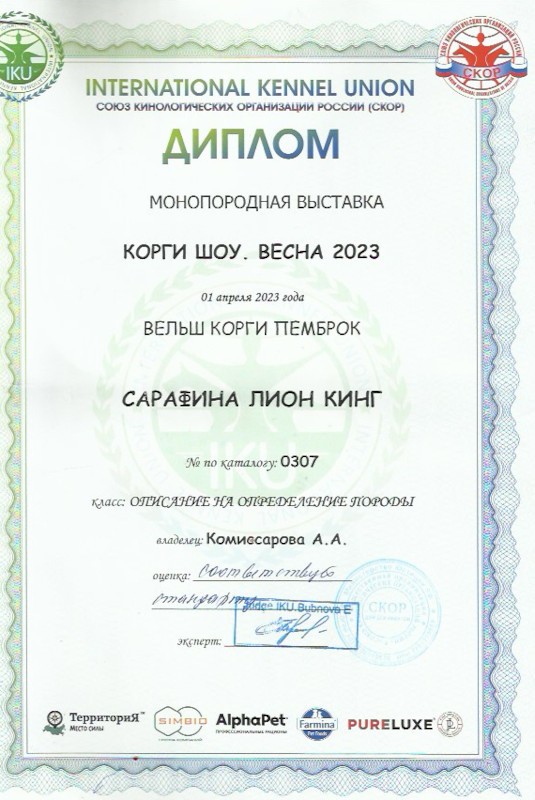 Скан 25