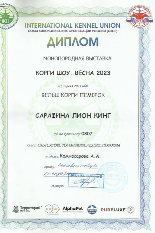 Скан 26