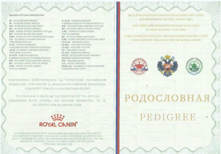 Скан 28