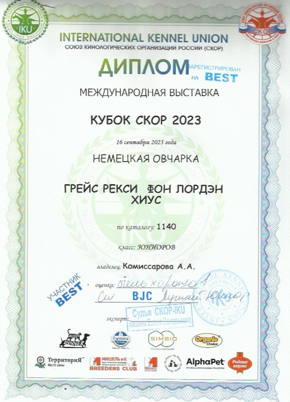 Дипломы