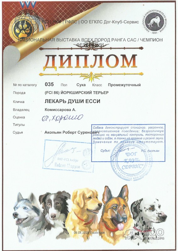 Скан 3