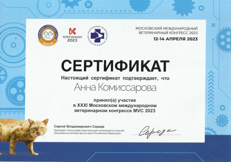 Скан 4