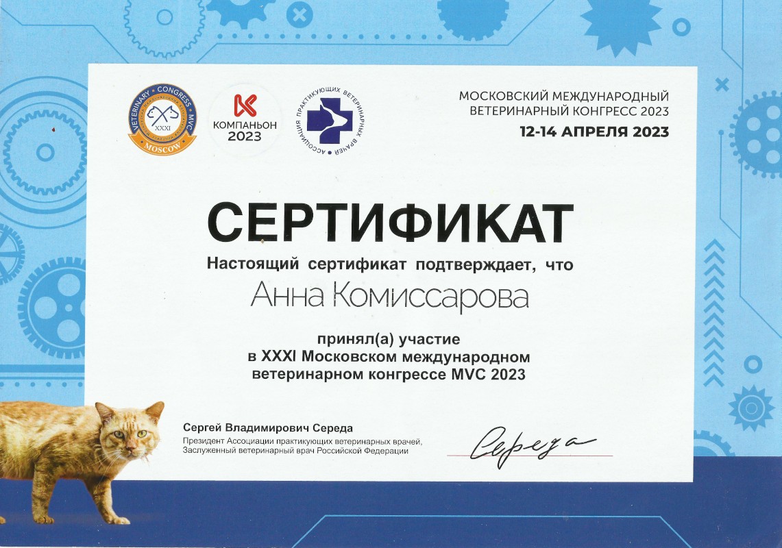 Скан 4