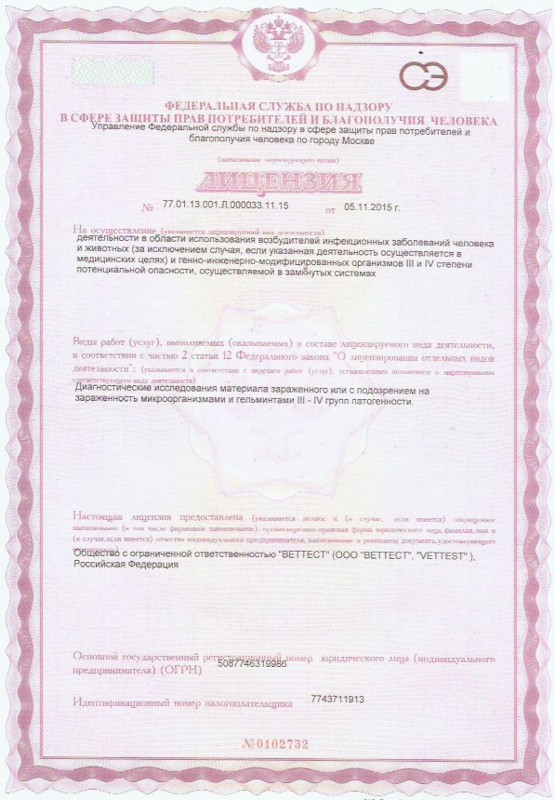 Скан 5