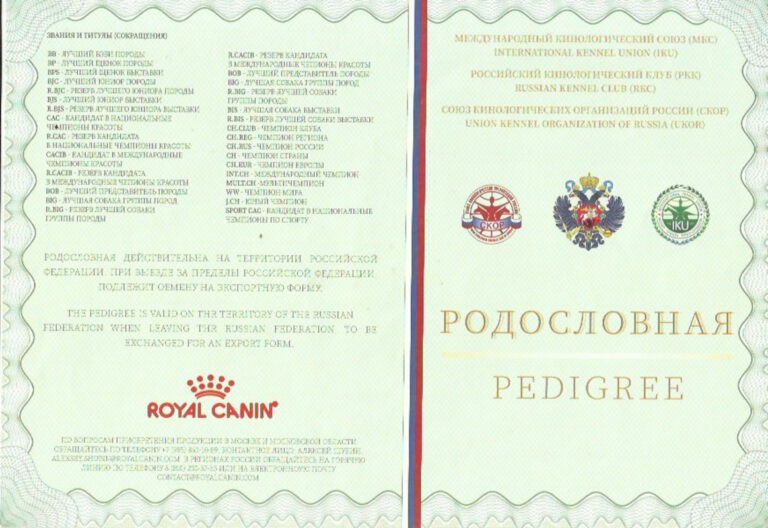 Скан 6
