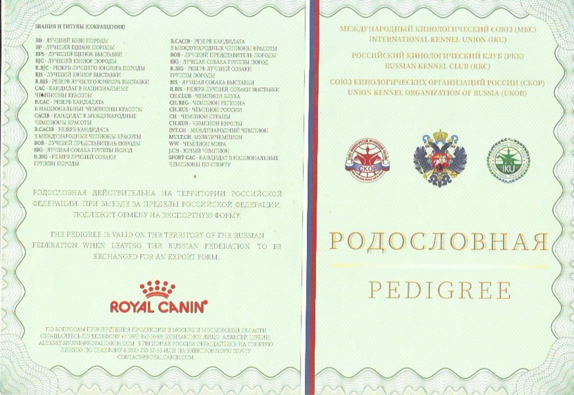 Скан 6