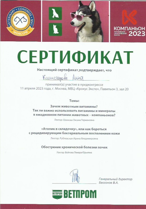 Скан 8