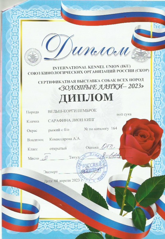 Скан 9