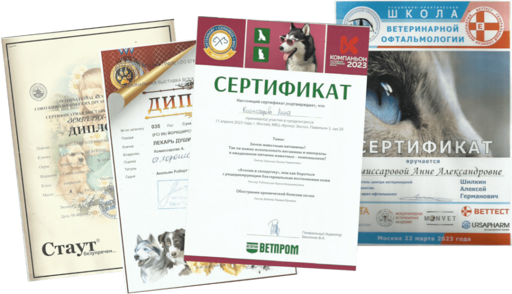 Дипломы в мире животных